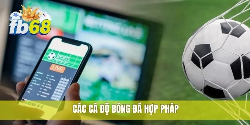Các cá độ bóng đá hợp pháp